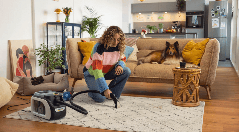 How to Deep Clean Carpets at Home with the SE 3 Compact Home