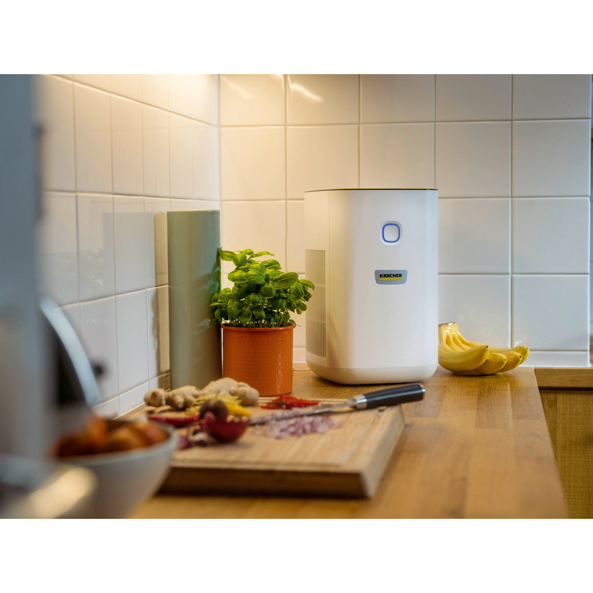 Air purifier AF 20