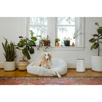 Air purifier AF 20