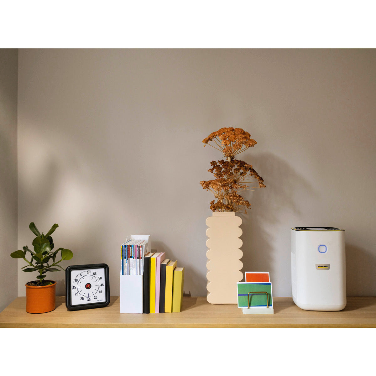 Air purifier AF 20