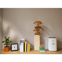 Air purifier AF 20